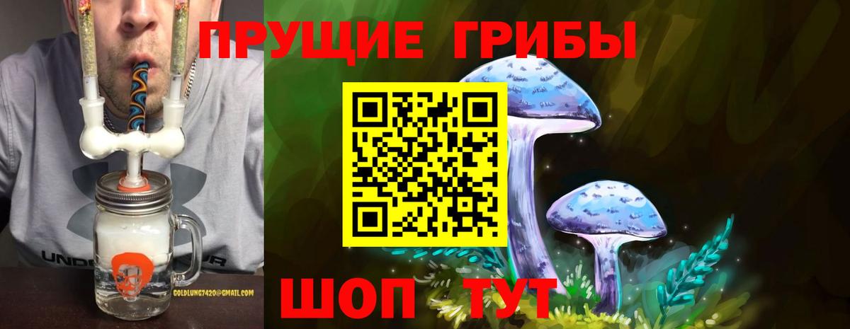 Галлюциногенные грибы прущие грибы  Галлюциногенные грибы Psilocybine cubensis  Кимовск  Вход с VPN 